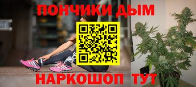 гидропоника Дубна