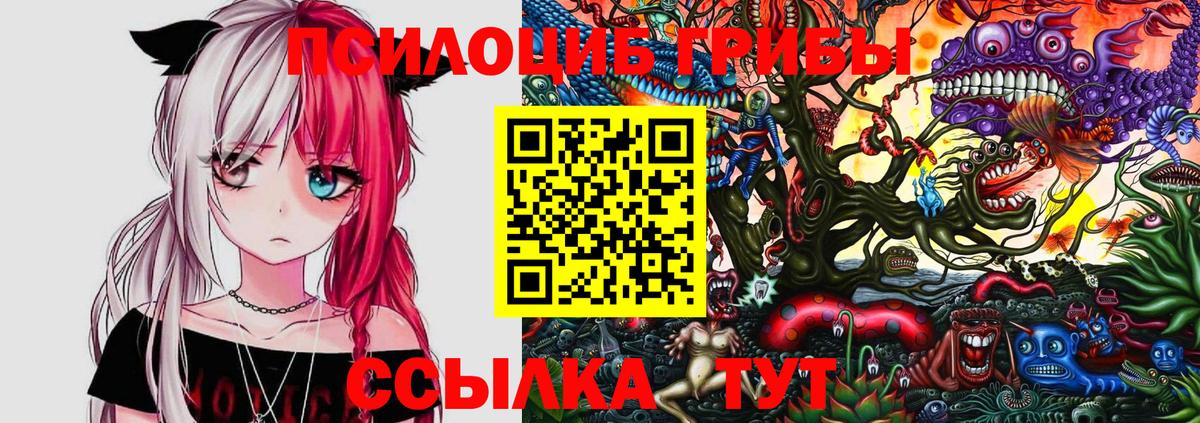 Псилоцибиновые грибы прущие грибы Мичуринск
