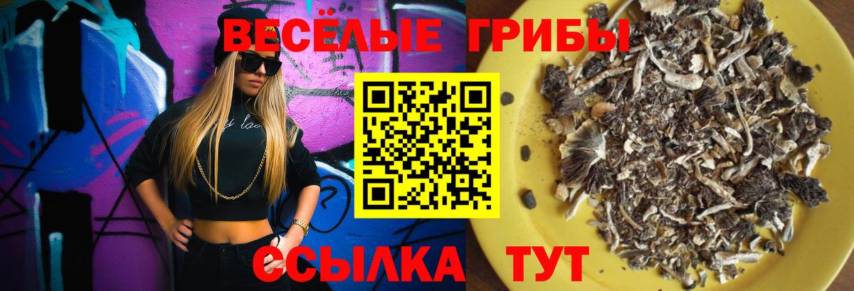 Галлюциногенные грибы мицелий  Вход с VPN  Галлюциногенные грибы GOLDEN TEACHER  Мичуринск 